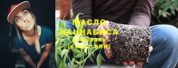 СК Медногорск
