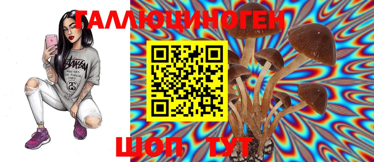 Псилоцибиновые грибы Magic Shrooms Тосно