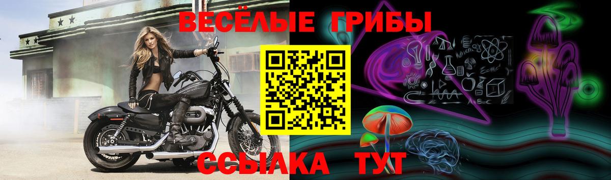 Псилоцибиновые грибы GOLDEN TEACHER  Вход с VPN  Галлюциногенные грибы мухоморы  Тосно 