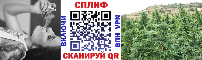 что такое наркотик площадка телеграм Шишки марихуана конопля Тосно